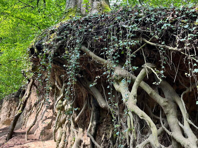 22-04-25 11-21-57 0618